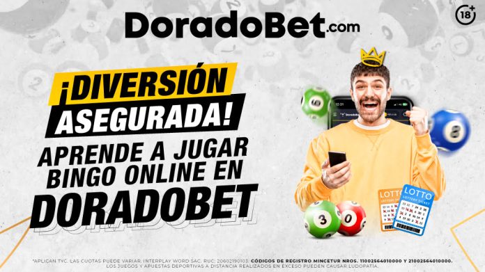 Jugar bingo online en DoradoBet: diversión y premios en el casino online Perú