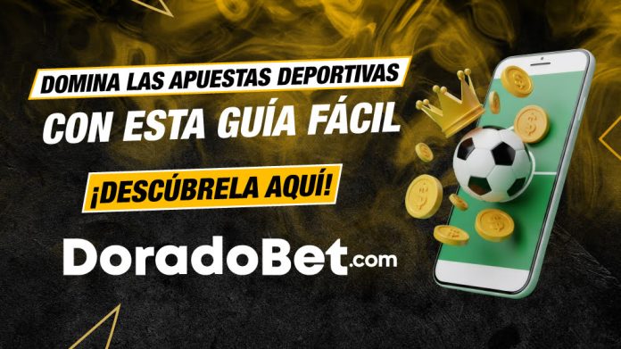 Guía de pronósticos deportivos para principiantes en Ecuador