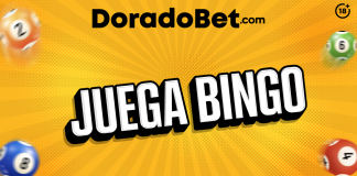 ¡Te enseñamos a jugar bingo online en Doradobet Perú! Disfruta de la emoción del bingo y el casino online desde cualquier lugar. ¡A ganar!
