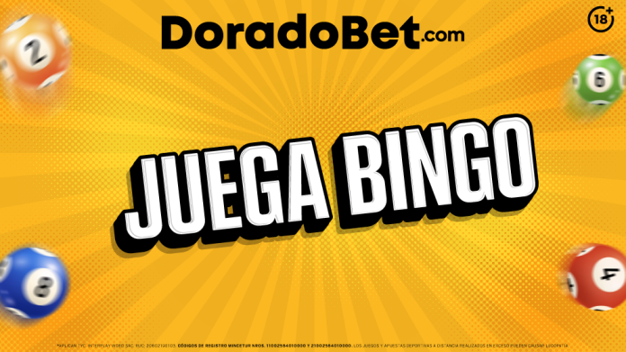 ¡Te enseñamos a jugar bingo online en Doradobet Perú! Disfruta de la emoción del bingo y el casino online desde cualquier lugar. ¡A ganar!