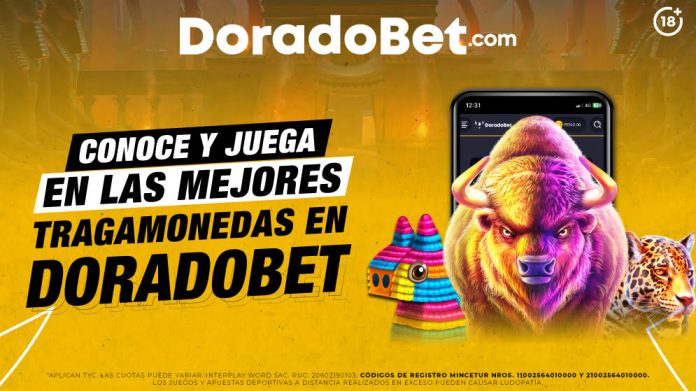 Tipos de máquinas tragamonedas en Doradobet: descubre los tipos, consejos y más ¡juega ya!