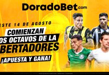 Apuestas con los mejores mercados y cuotas del partido Universitario vs Palmeiras por la Copa Libertadores. ¡Apuesta ahora en Doradobet!