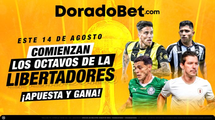 Apuestas con los mejores mercados y cuotas del partido Universitario vs Palmeiras por la Copa Libertadores. ¡Apuesta ahora en Doradobet!