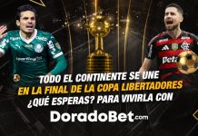 Final de la Copa Libertadores 2025 Palmeiras vs Flamengo — análisis y pronósticos