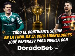 Final de la Copa Libertadores 2025 Palmeiras vs Flamengo — análisis y pronósticos