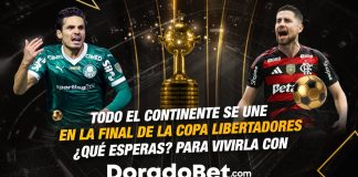 Final de la Copa Libertadores 2025 Palmeiras vs Flamengo — análisis y pronósticos