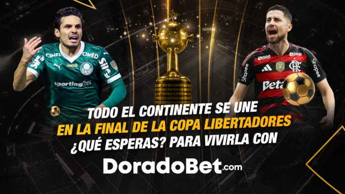 Final de la Copa Libertadores 2025 Palmeiras vs Flamengo — análisis y pronósticos