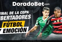 Final de la copa libertadores: Palmeiras vs Flamengo 2025