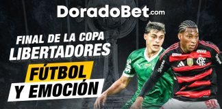 Final de la copa libertadores: Palmeiras vs Flamengo 2025