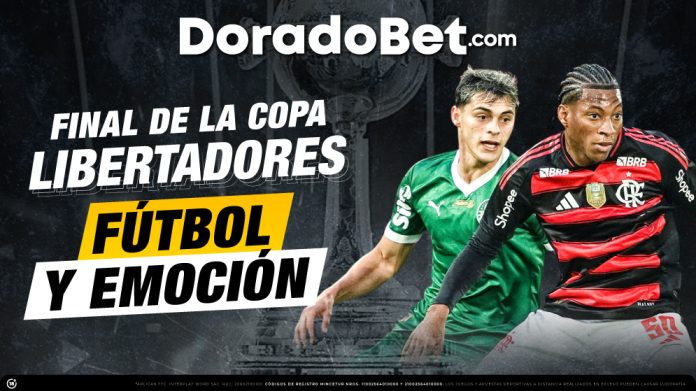 Final de la copa libertadores: Palmeiras vs Flamengo 2025
