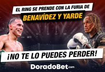 Pelea entre Benavídez vs Yarde por el título de peso semipesado con las mejores cuotas y mercados de Costa Rica en Doradobet. ¡Registrate ya!
