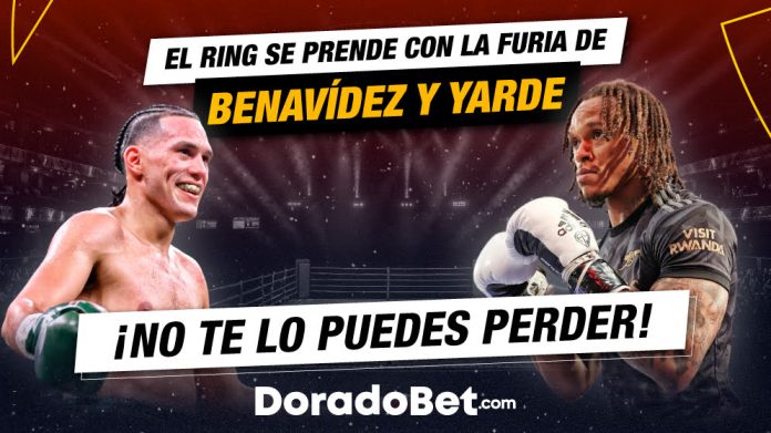 PESO-SEMIPESADO-995X559 Pelea entre Benavídez vs Yarde por el título de peso semipesado con las mejores cuotas y mercados de Costa Rica en Doradobet. ¡Registrate ya!
