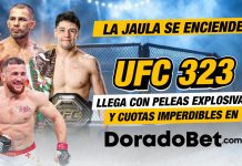 Pelea estelar Merab Dvalishvili vs Petr Yan en UFC 323