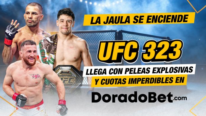 Pelea estelar Merab Dvalishvili vs Petr Yan en UFC 323