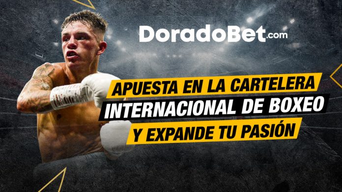 CARTELERA-DE-BOXEO_BLOG Cartelera de boxeo 2026 en Las Vegas este 24 de enero con peleas estelares y pronósticos de boxeo Ecuador