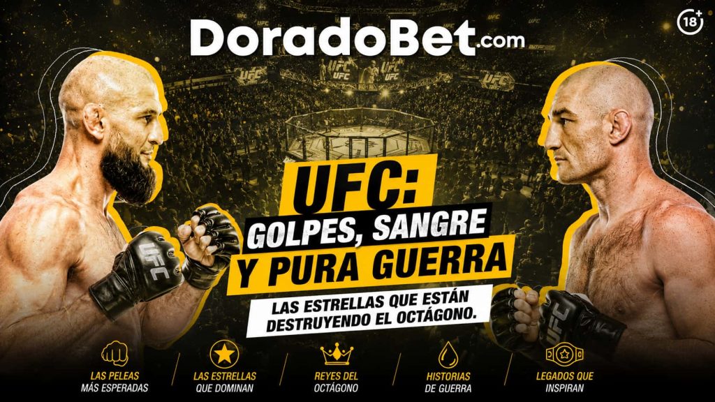 UFC: golpes, sangre y pura guerra Las estrellas que están destruyendo el octágono