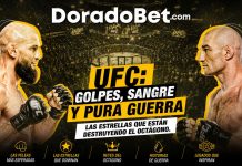 UFC: golpes, sangre y pura guerra Las estrellas que están destruyendo el octágono