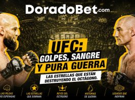 UFC: golpes, sangre y pura guerra Las estrellas que están destruyendo el octágono