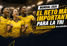 Guía sobre los partidos de la Selección de Ecuador, sus rivales y posibilidades de avanzar.