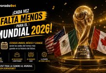 Mundial 2026 sedes: estadios, ciudades y todo lo que debés saber ¡Cada vez falta menos para el Mundial 2026! Estados Unidos, México y Canadá serán las sedes del torneo más grande en la historia del fútbol."