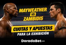 Floyd Mayweather vs Mike Zambidis