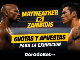 Floyd Mayweather vs Mike Zambidis