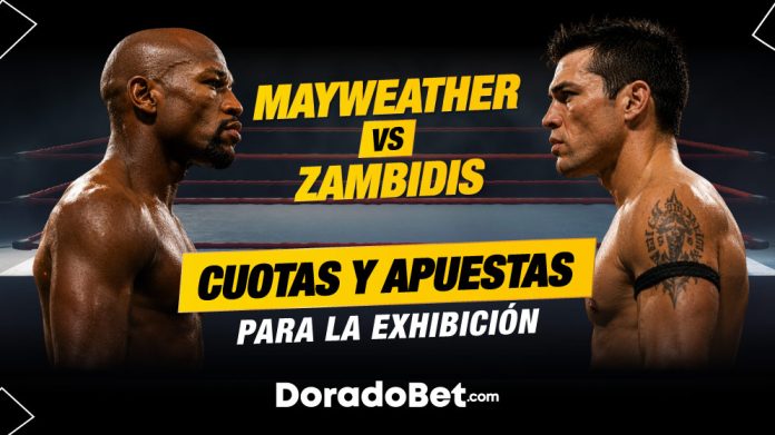 Floyd Mayweather vs Mike Zambidis