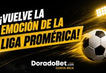 Liga promérica