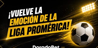 Liga promérica