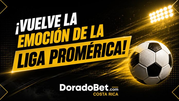 Liga promérica